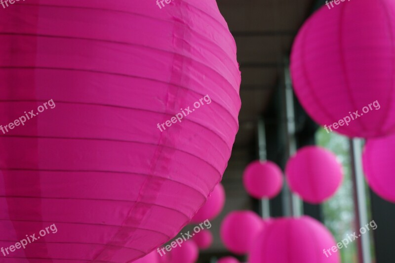 Lantern Chinese Pink Designs Circle