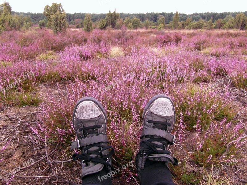 Shoes Feet Break Heide Heather