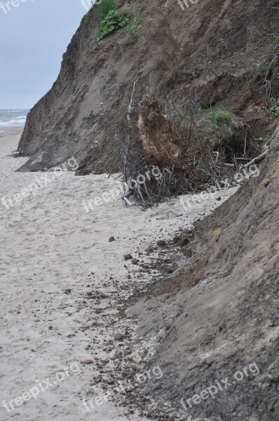 The Coast Cliff Beach Sea The Roots Of The