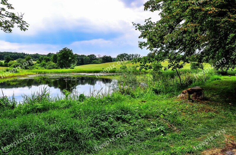 Pools Pond Biotope Rest Nature