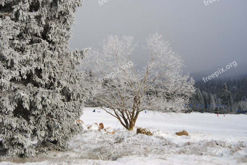 Resin Torfhaus Winter Wintry Snow