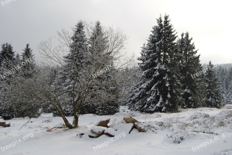 Resin Torfhaus Winter Snow Wintry