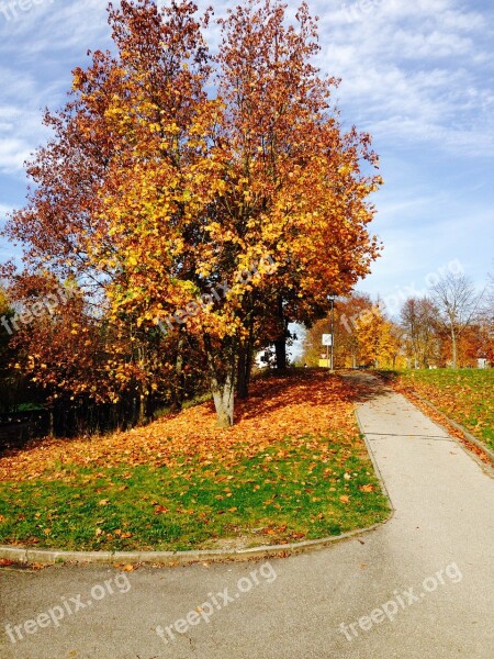 Cycle Path Walk Autumn Colorful Leaves Colorful