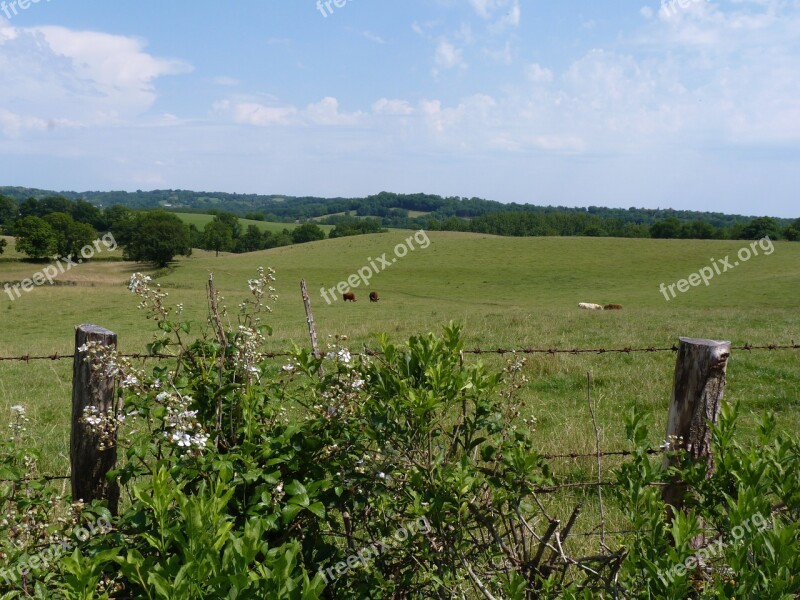 Landscape Lot Field Grass Prairie