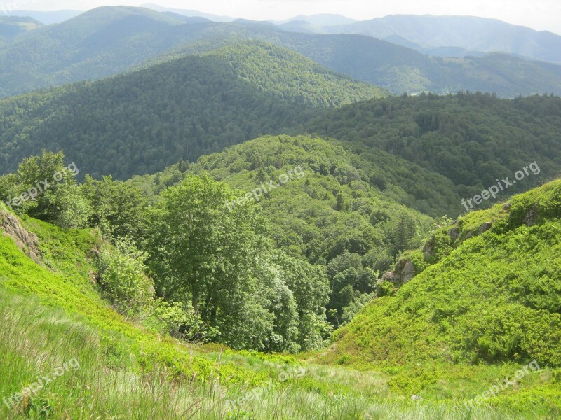 Vosges Hill Forest Hiking Free Photos