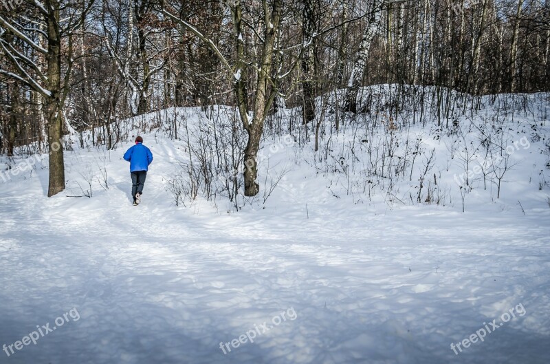 Jogging Winter Snow Tree Nature