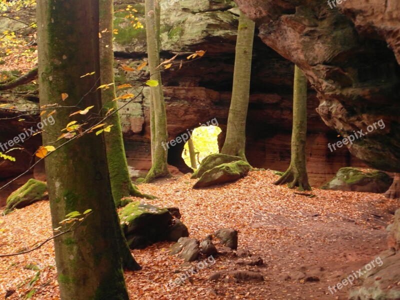 Sandstone Sand Stone Forest Autumn Emerge