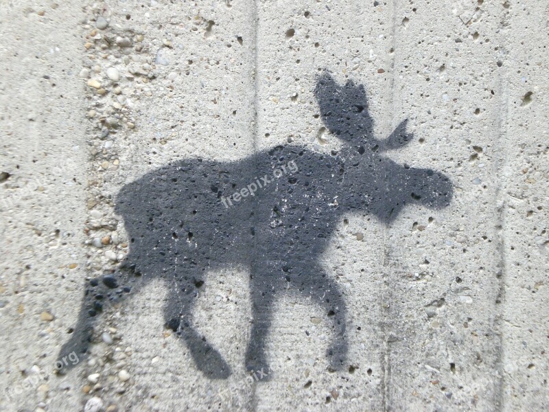 Moose Wall Figure Free Photos