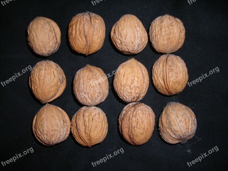 Nuts Walnuts Buttons Hell Brown