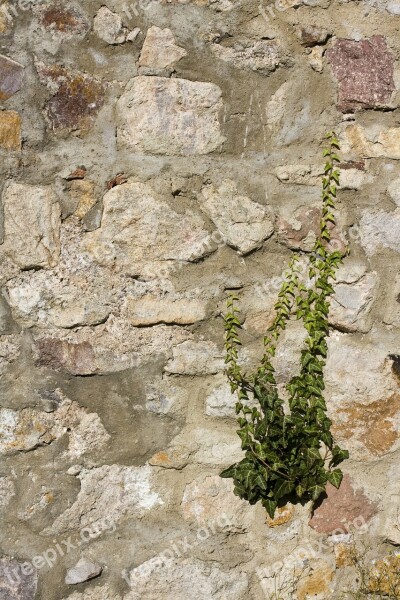 Natural Stone Wall Brick Wall Brick Sand Stone Wall