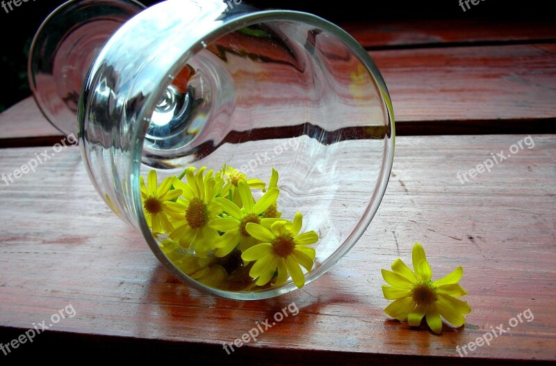 Glass Wooden Desk Chamomile Yellow Flowers Free Photos