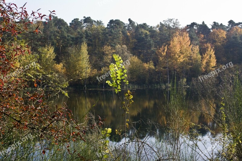 Pond Autumn Bright Fall Color Emerge