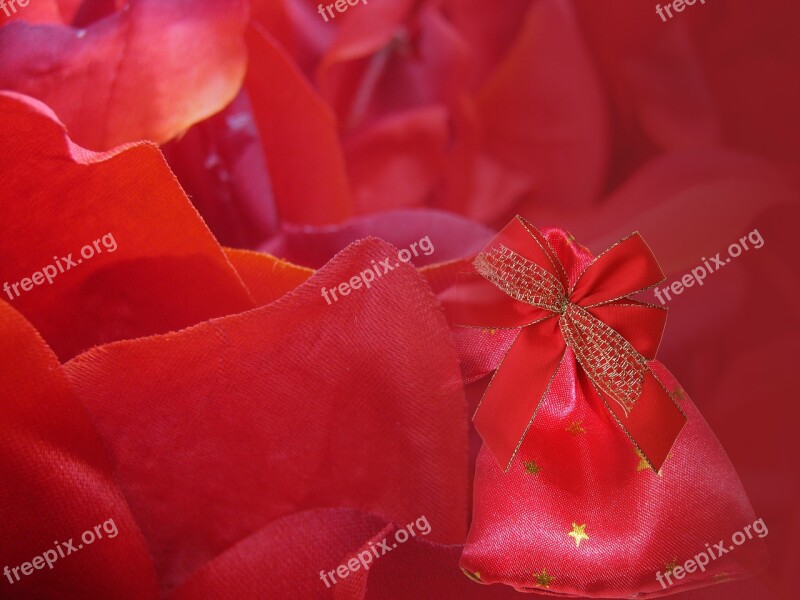 Decoration Christmas Background Red Poinsettia