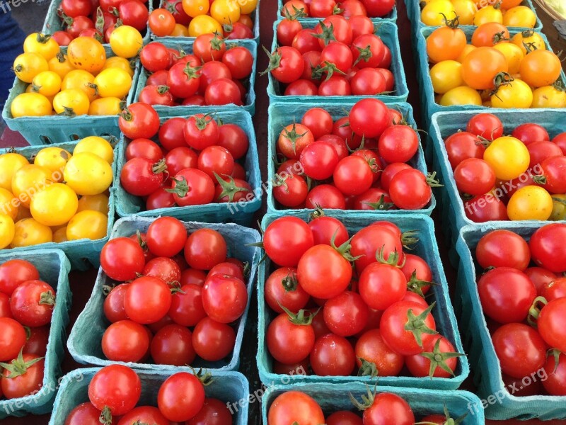 Tomato Harvest Vegetable Food Vegetables