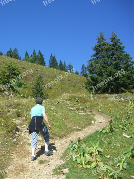 Path Migratory Path Tight Wadeln Mountain Path Trail