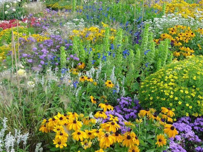 Flowers Summer Garden Park Biodiversity