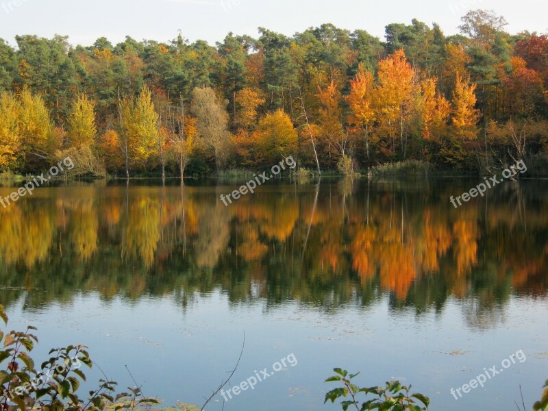 Pond Mirroring Golden October Autumn