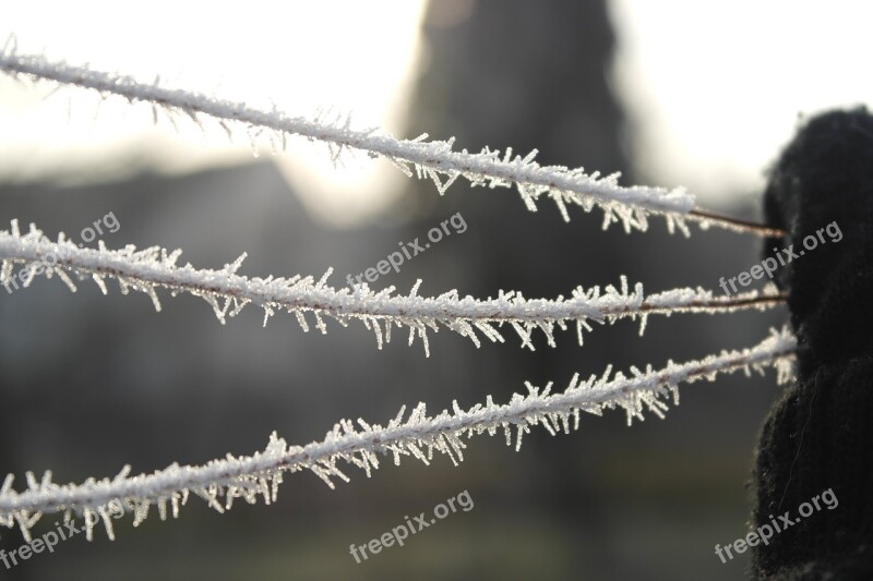 Icing Winter Wire White Cold