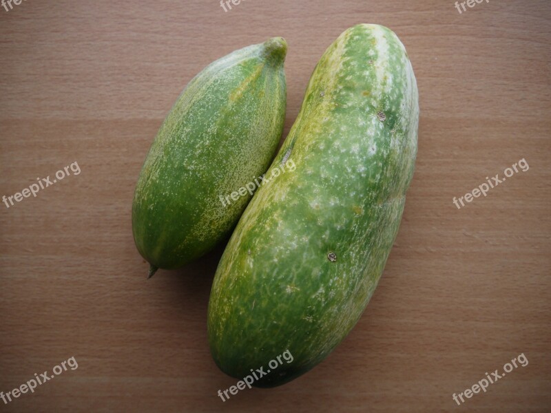 Cucumber Cucumbers Vegetables Food Eat