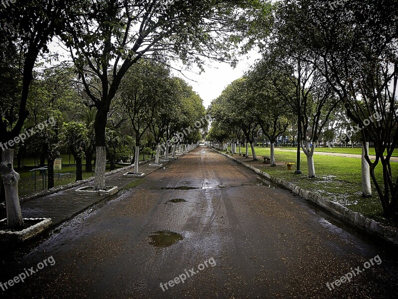 Path Peace Rainy Moisture Vegetation