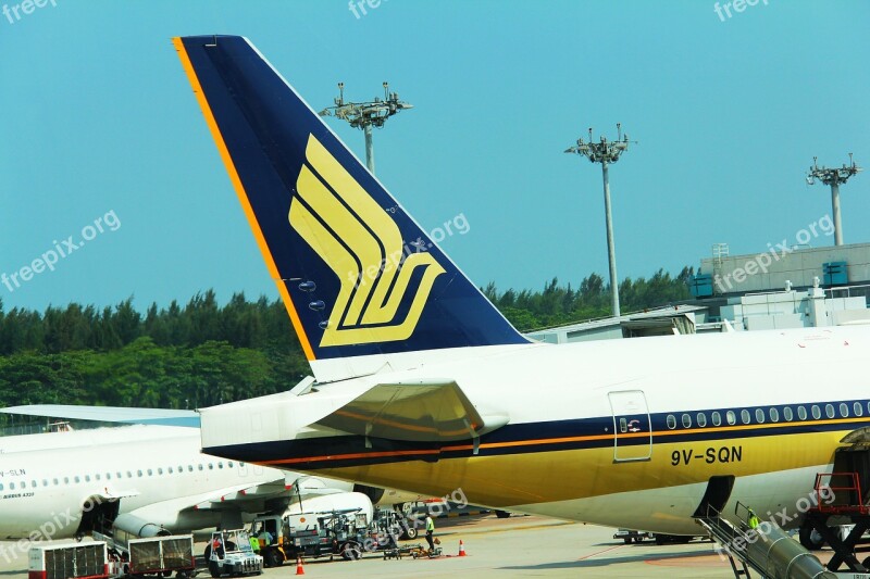 Sq Sia Airline Logo Wing