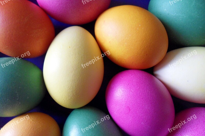 Easter Egg Easter Eggs Colorful Colored