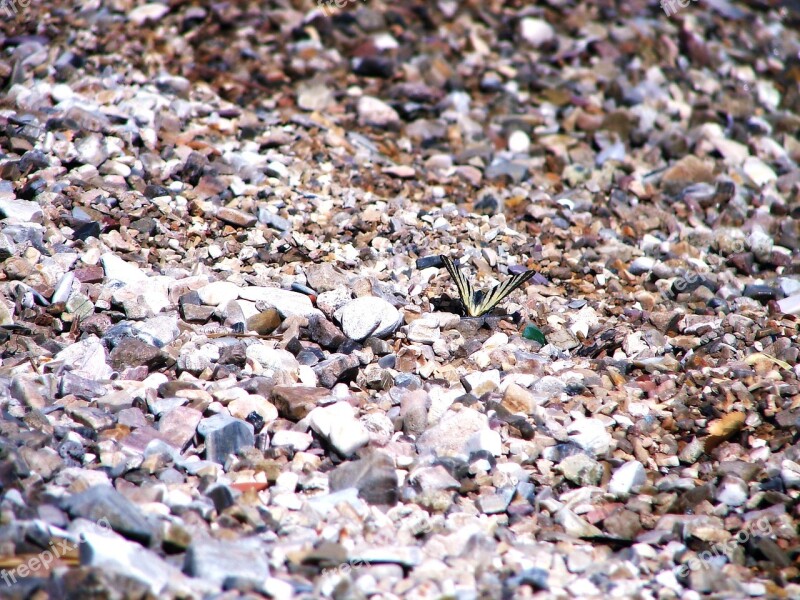 Stones Rocks Gravel Butterfly Background