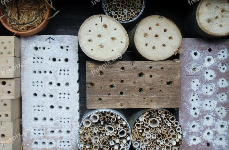 Insect Hotel Insect Insect House Insect Asylum Insect Protection Measures