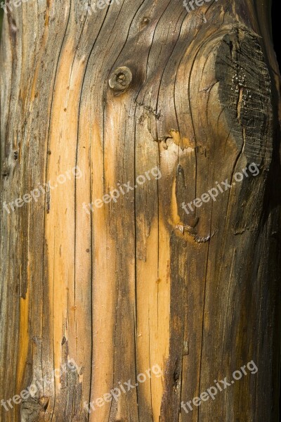 Log Bark Tree Bark Wood Texture