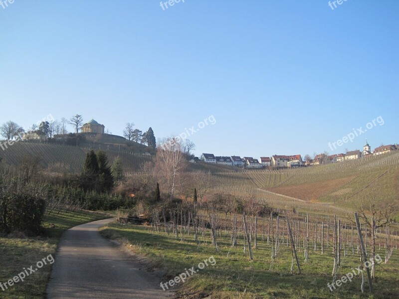 Vineyards Autumn Nature Vines Winegrowing