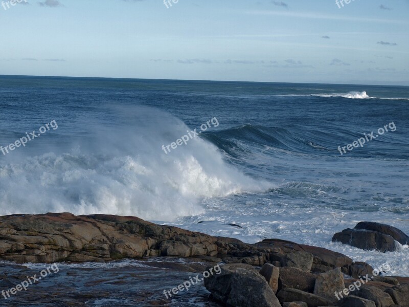 Wave Sea Foam Beach Nature