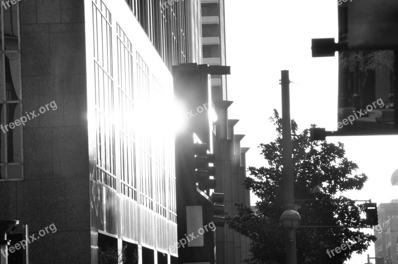 Dallas Downtown Sunlight Buildings Architecture