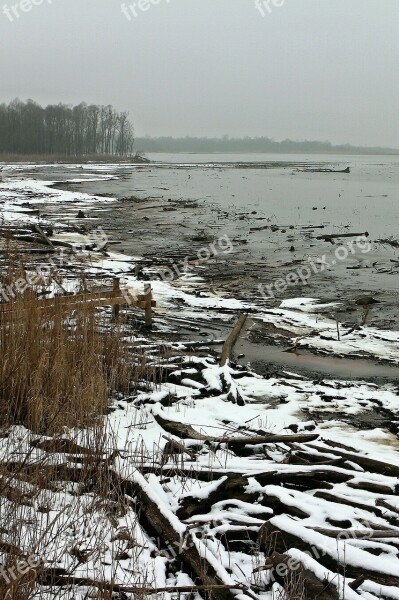 Winter Beach Bank Water Wood