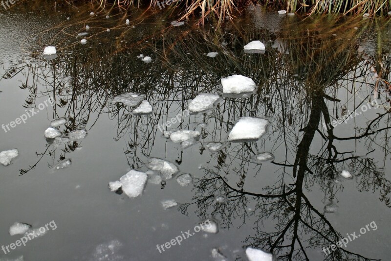 Water Ice Mirroring Frozen Plant