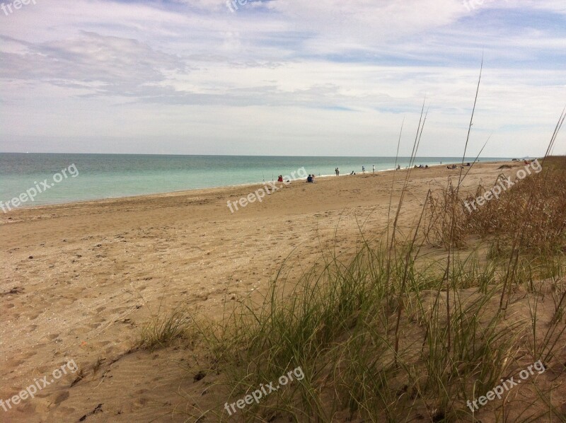 Beach Ocean Sand Nature Shoreline