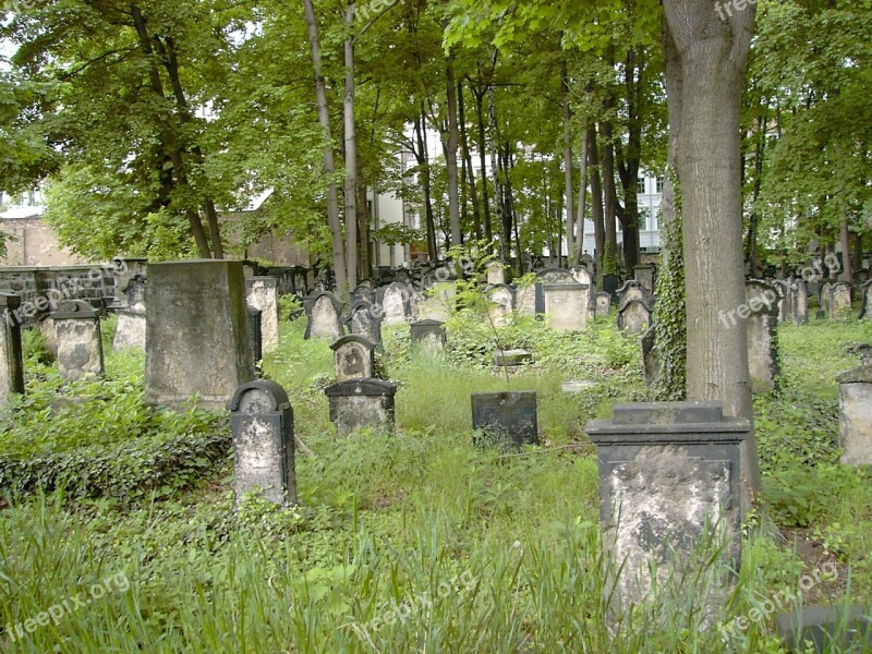 Old Jewish Cemetery Dresden Neustadt Free Photos