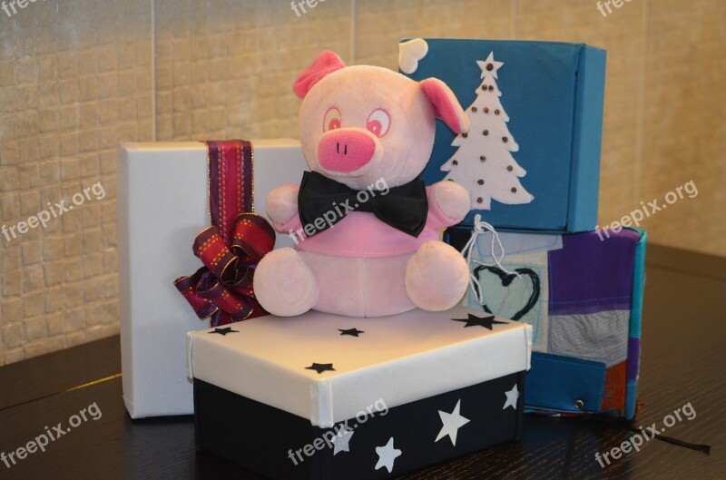 Gift Box Piggy Cute Christmas