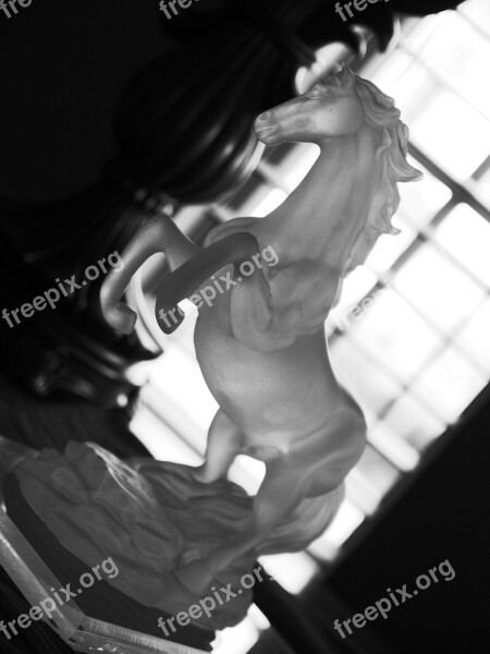 Horse Statue Glass Window Black And White