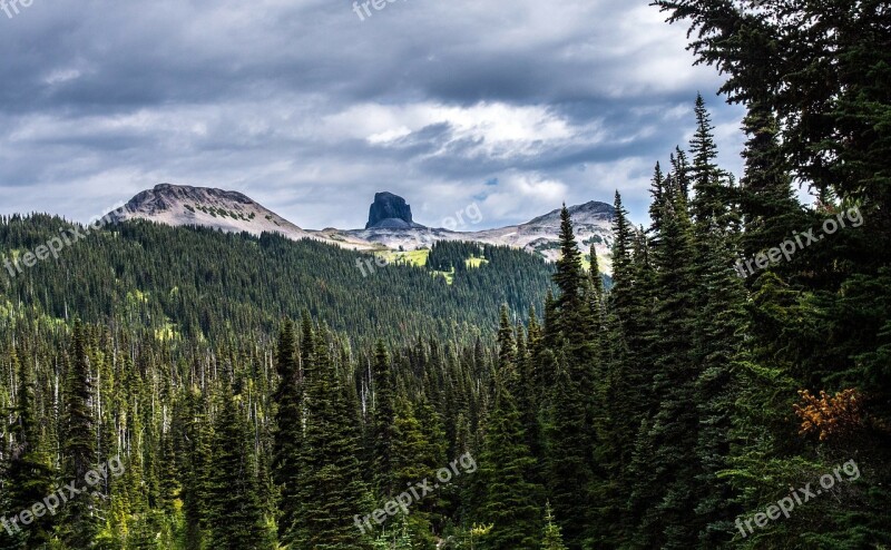 Mountain Snow Trees Scenic Nature