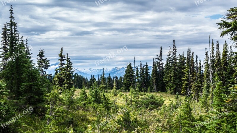 Mountain Snow Trees Scenic Nature