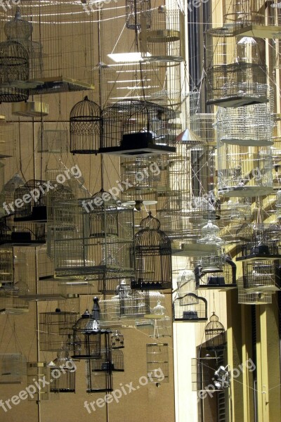 Australia Sydney City Bird Cages Free Photos