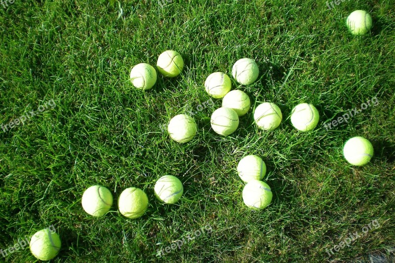 Tennis Balls Mess Meadow Free Photos