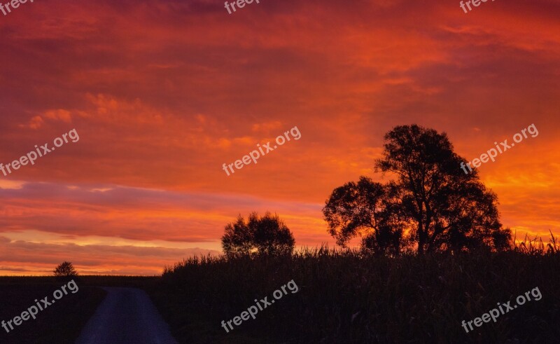 Tree Trees Landscape Nature Away