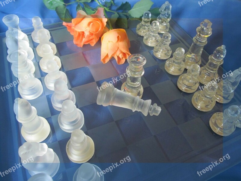 Chess Roses Chess Game Chess Pieces Figures