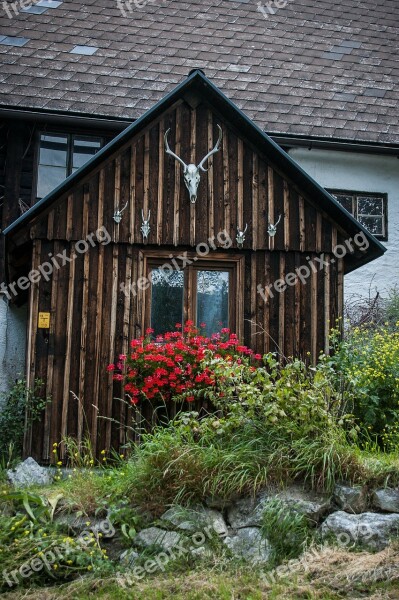 Small Hut Deer Antler Hiking Nature Hike