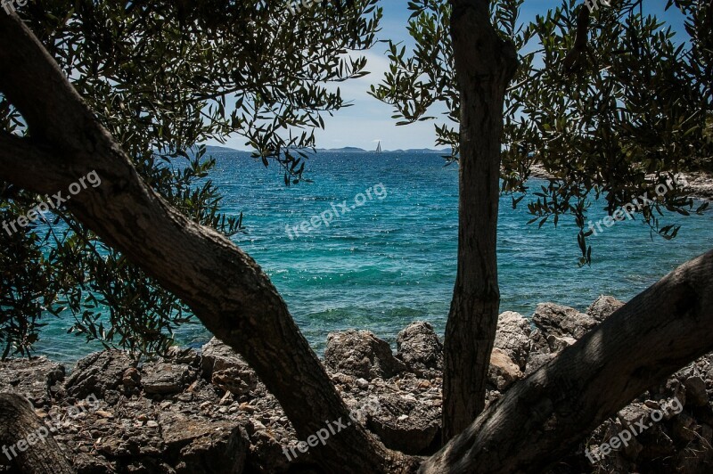 Sea Coast Water Blue Nature