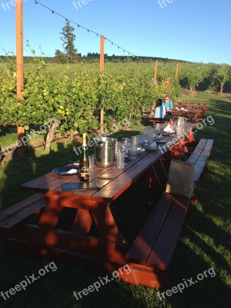 Winery Summer Dine Picnic Wine