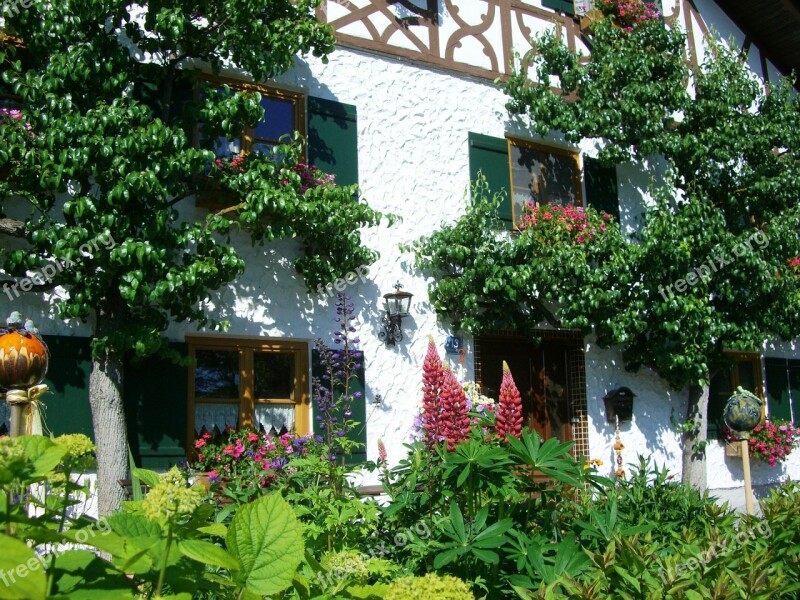 Espalier Tree Home Front Facade Truss Window