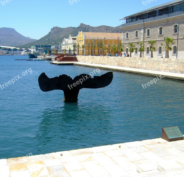 Tail Whale Cartagena Murcia Spain