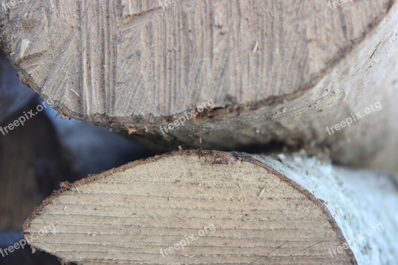 Wood Sawed Off Stacked Firewood Tree